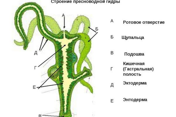 Какая ссылка у кракена