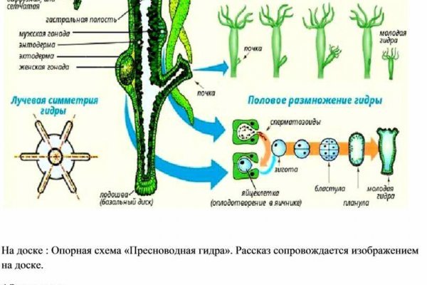 Кракен kr2web in сайт официальный