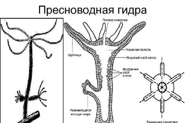 Кракен тор ссылка магазин