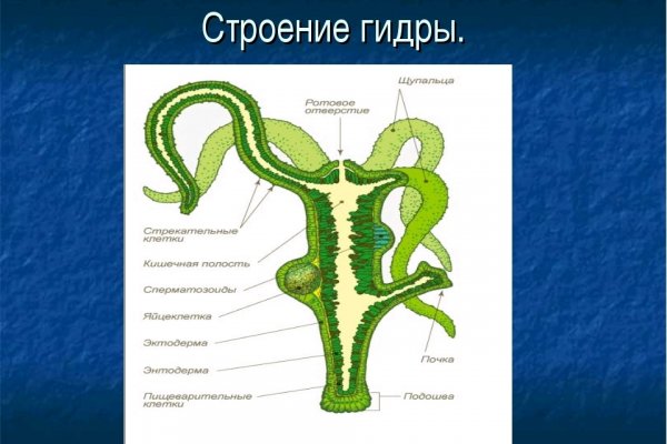 Кракен как попасть